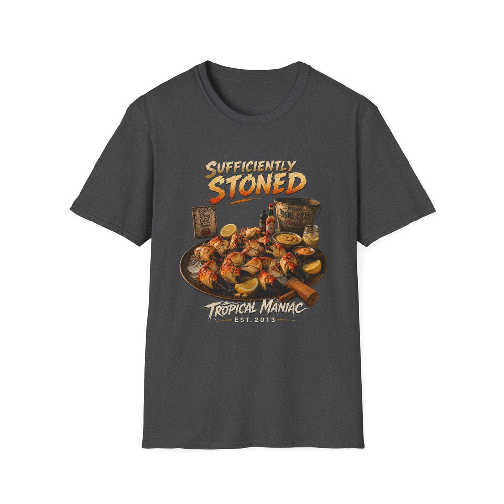 Sufficiently Stoned T-Shirt